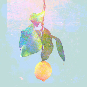 黑人把逼操出水的视频了
